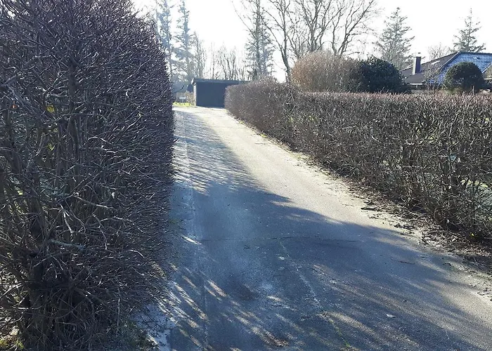 Deichblick_spo * Böhl